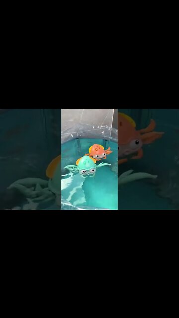 Summer Wind Up Octopus Baby Bath Toys #shorts #baby #bathroom