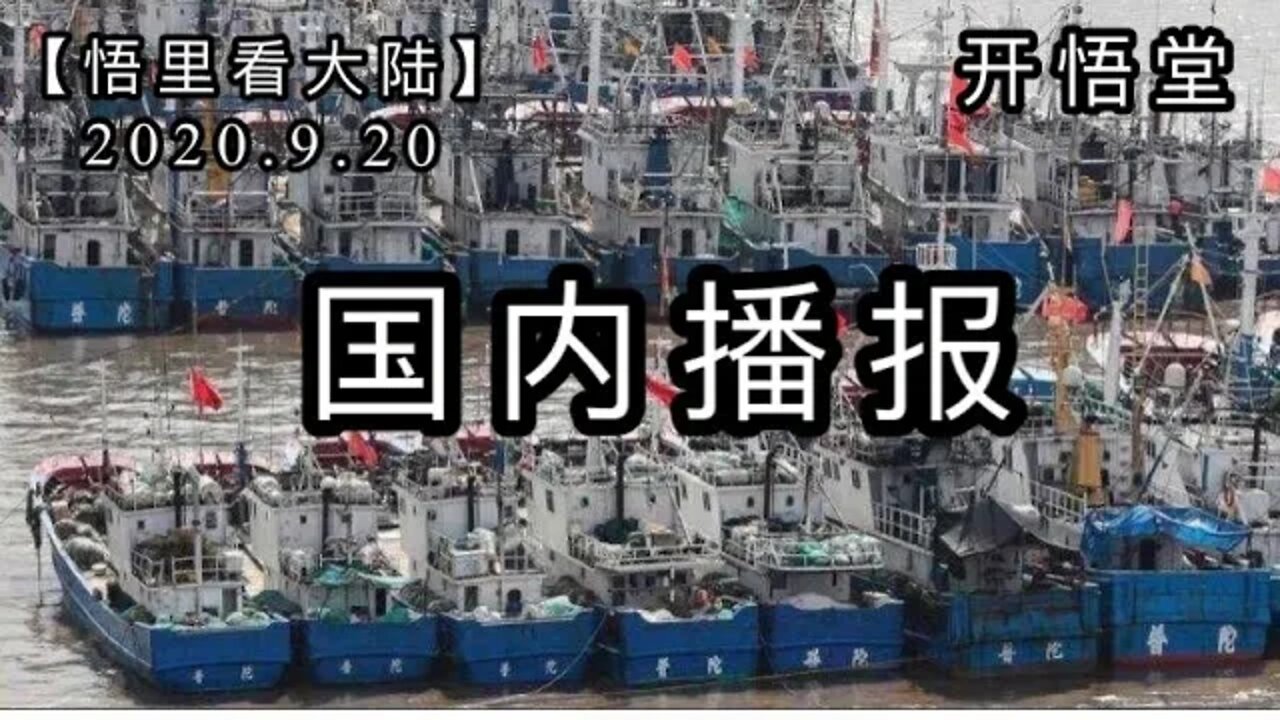 【悟里看大陆】2020.9.20国内播报/开悟堂