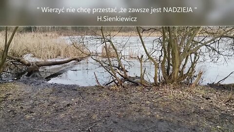 " Wierzyć nie chcę przestać ,że zawsze jest NADZIEJA ." Weronika Sienkiewicz