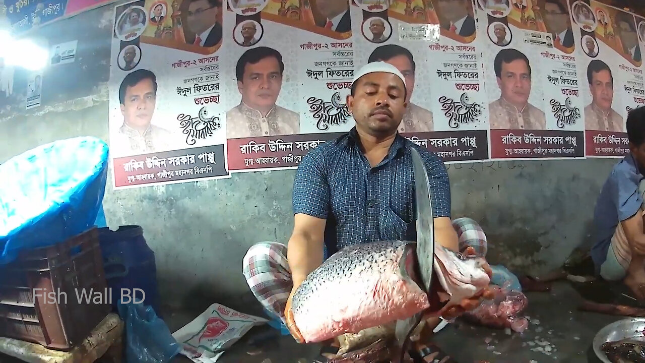 Catla Carp Fish Cutting Skills In Fish Cutting Market-Catla Carp Fish Cutting Video-Fish Wall BD