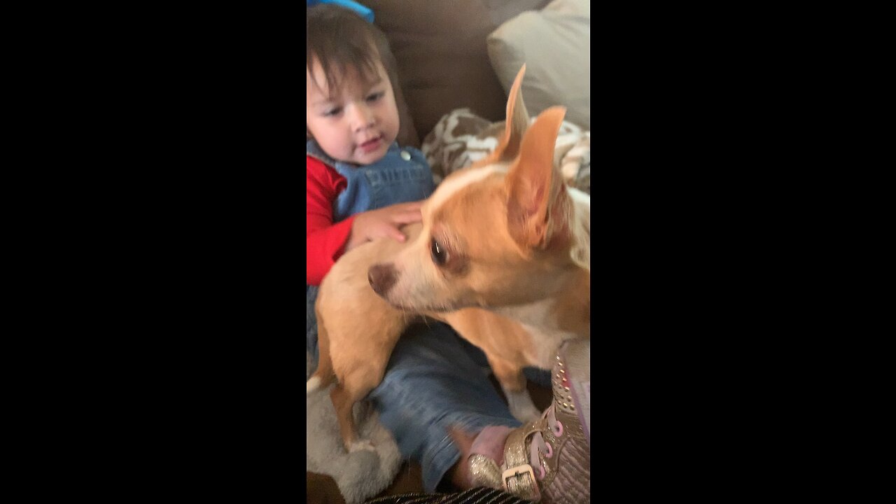 Babygirl love’s her puppy