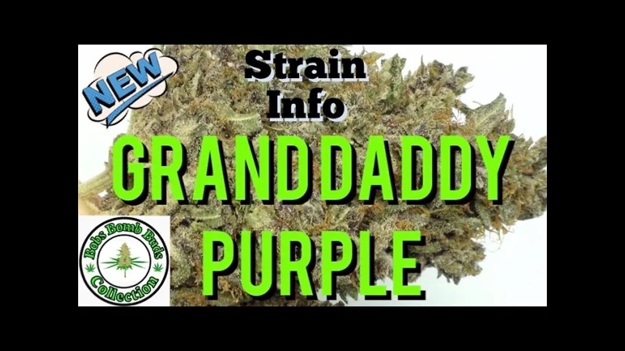 Grand Daddy Purple