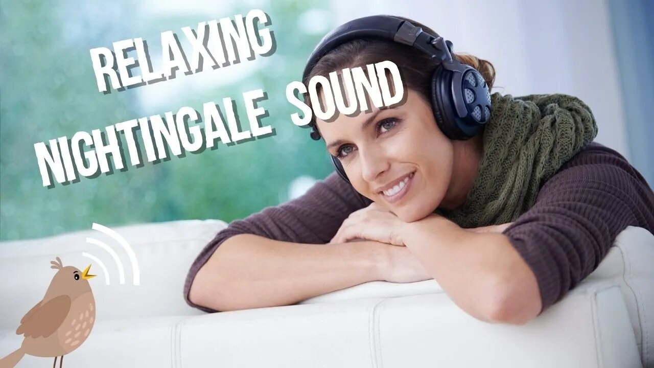Relaxing nightingale sound, Funny cute pets lovers, #relaxing #sound #nightingale