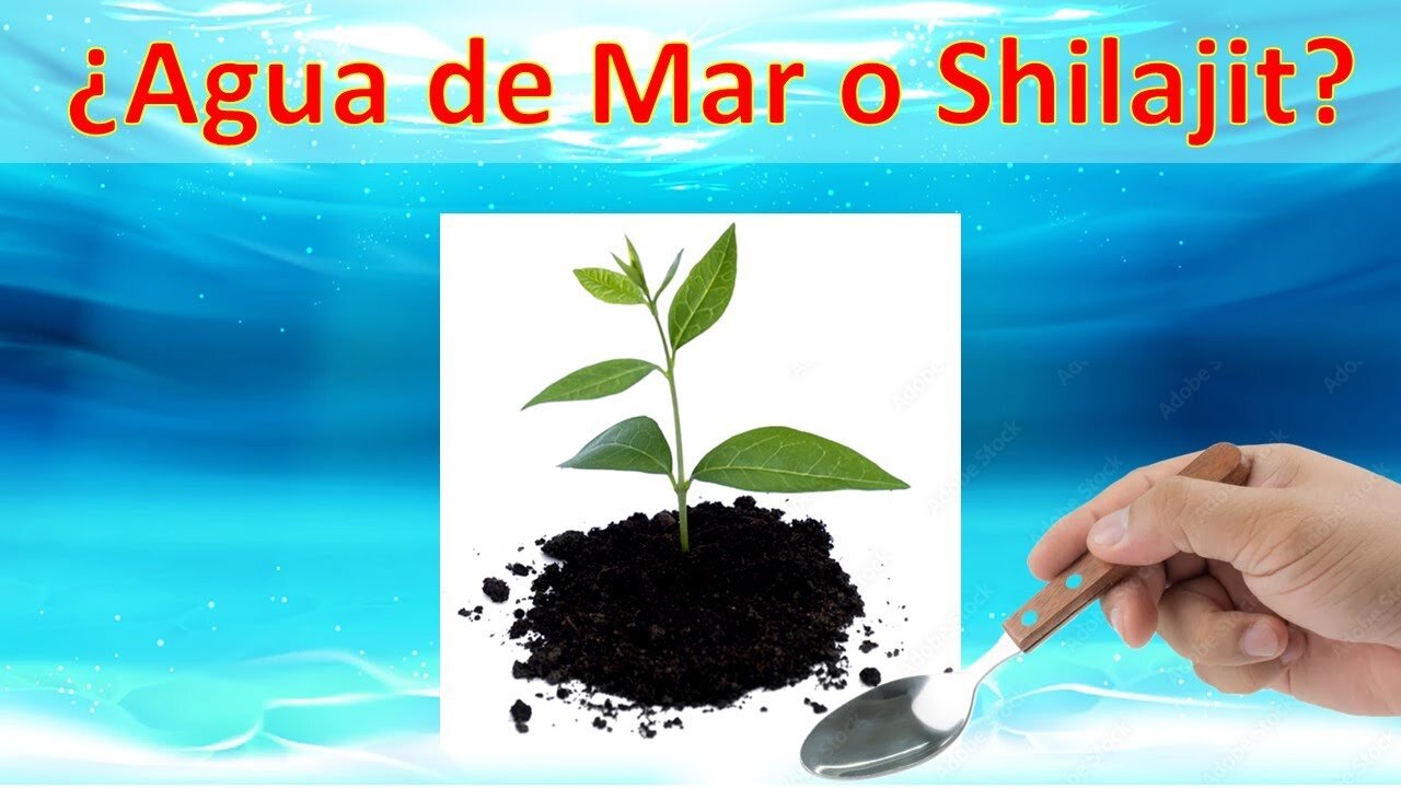 11dic2022 El Agua de Mar y el Shilajit ¿Cuál es Mejor? · RemediosNaturales.es || RESISTANCE ...-