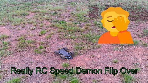 RC Speed Demon In A Big Field (Green)