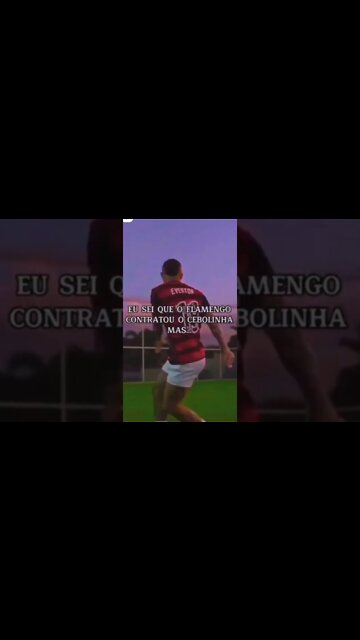 CEBOLINHA OU BRUNO HENRIQUE???