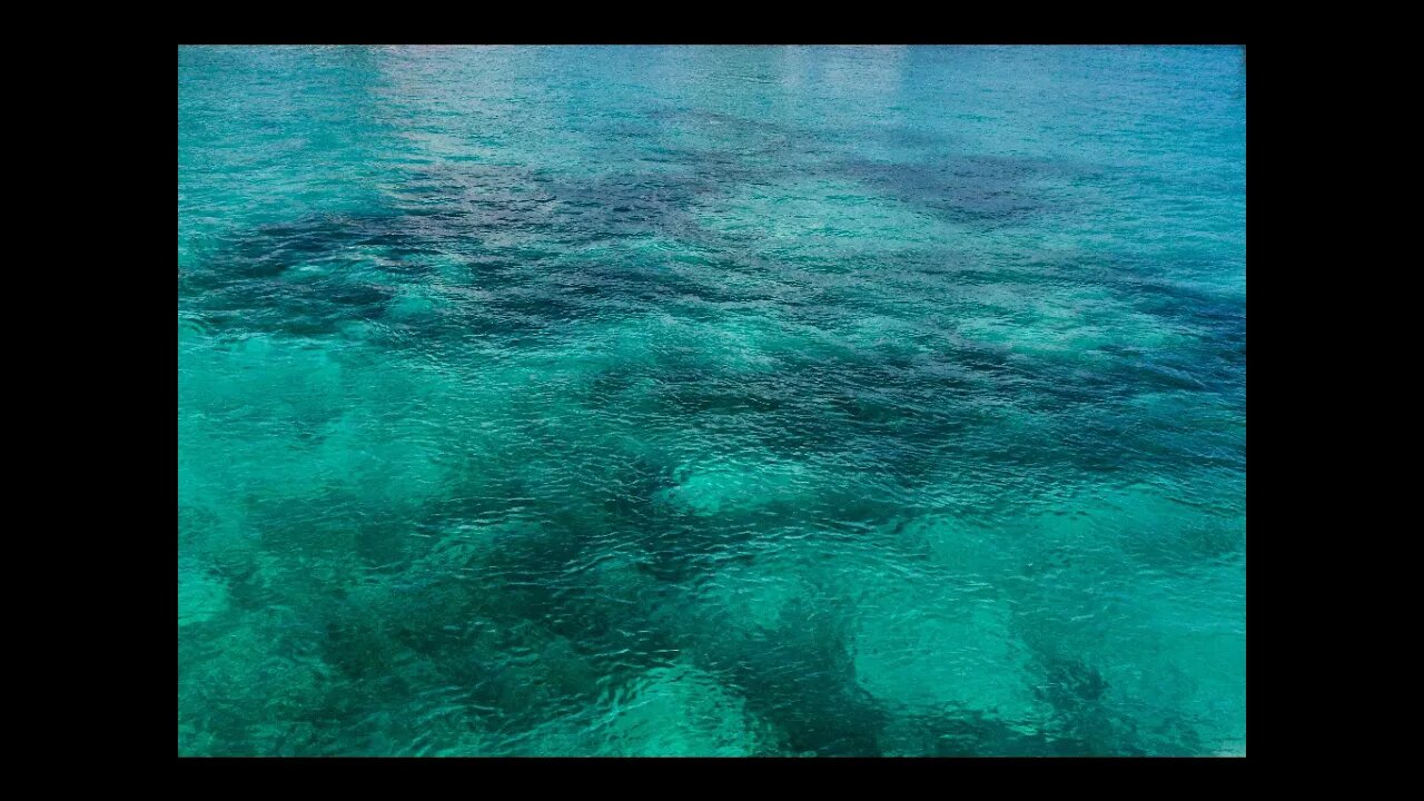 Diving Off Cat Cay Tue 16 MAR 21