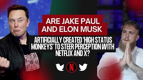 Are Jake Paul & Elon Musk Artificially Created "High Status Monkeys" to Steer Perception with X?