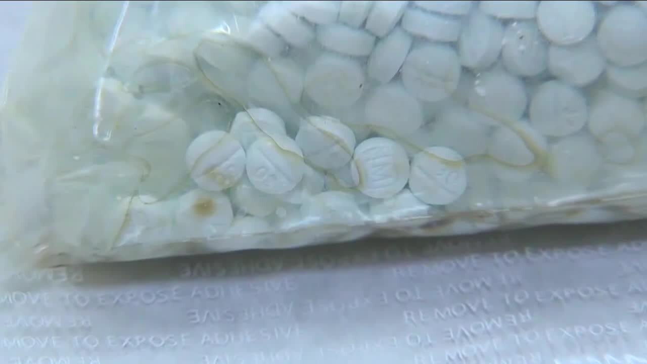 Medical doctors, families of overdose victims testify at first fentanyl bill hearing