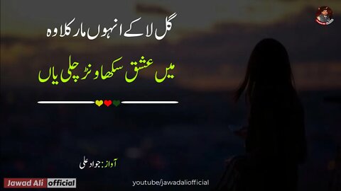 Best Punjabi Sad Shayari Whatsapp Status Dohray - New Saraiki Poetry 2021 | Jawad Ali Official