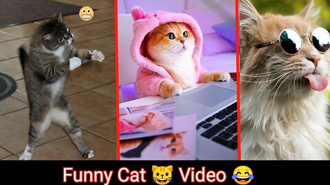 Funny cat 😺 video try not to try laugh // 🤣 cat video 2022