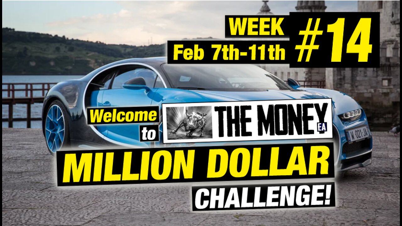 "The Money" EA: MILLION DOLLAR CHALLENGE! Week 14 Results. Forex EA / Forex trading robot