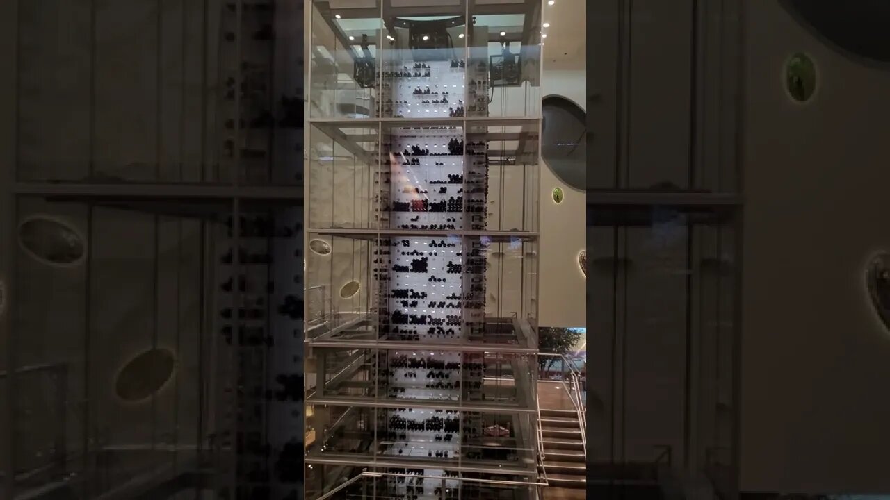 wine elevator