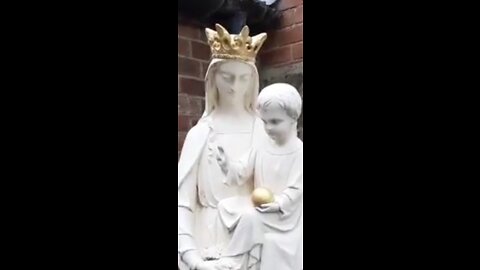 PEDOPHILES PARADISE INSIDE CATHOLIC CHURCH