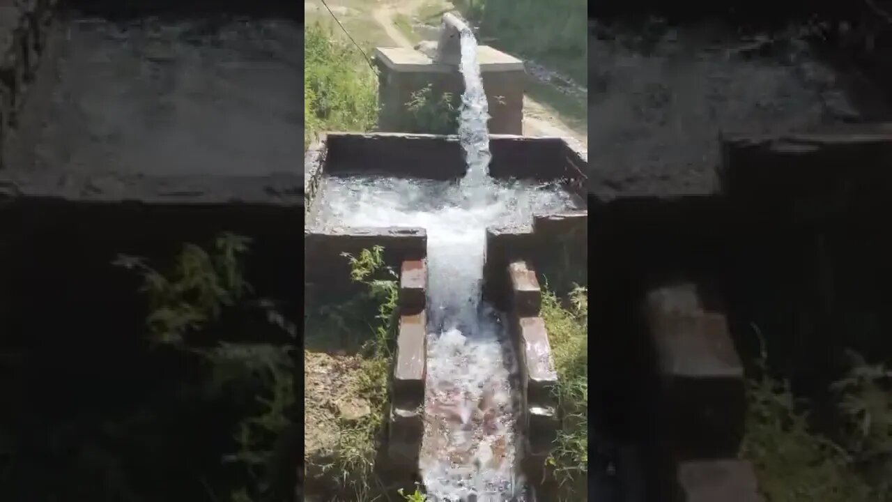 Watering In Fields #dailyhackness #ytshorts #challenges #doityourself #useful #viral #viral2022
