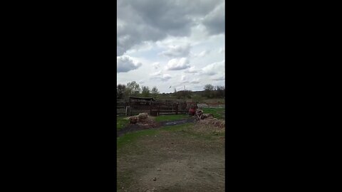 Russian jet over Donbass (volume warning)