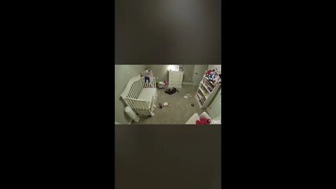 Dog isn’t allowed in baby’s room; also doesn’t know there is a camera installed.