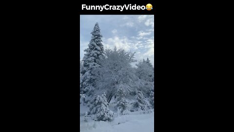 Mr FunnyCrazyVideo😂 Just Incredible Video Funny and Crazy #Like Follow for Follow 🥰