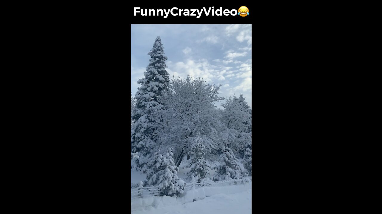 Mr FunnyCrazyVideo😂 Just Incredible Video Funny and Crazy #Like Follow for Follow 🥰