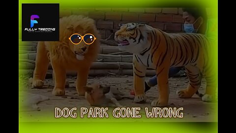 Dog Prank Funny Video 2023