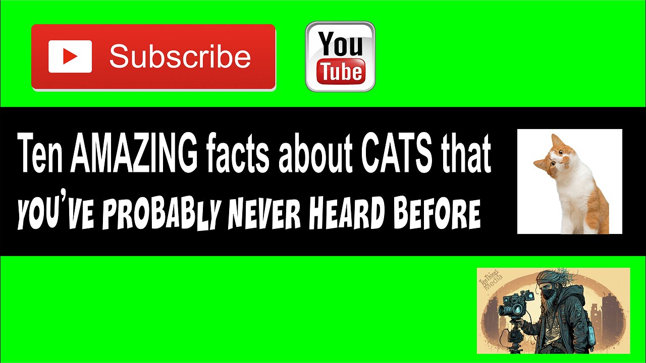 Ten AMAZING facts about CATS that you've probably never heard before