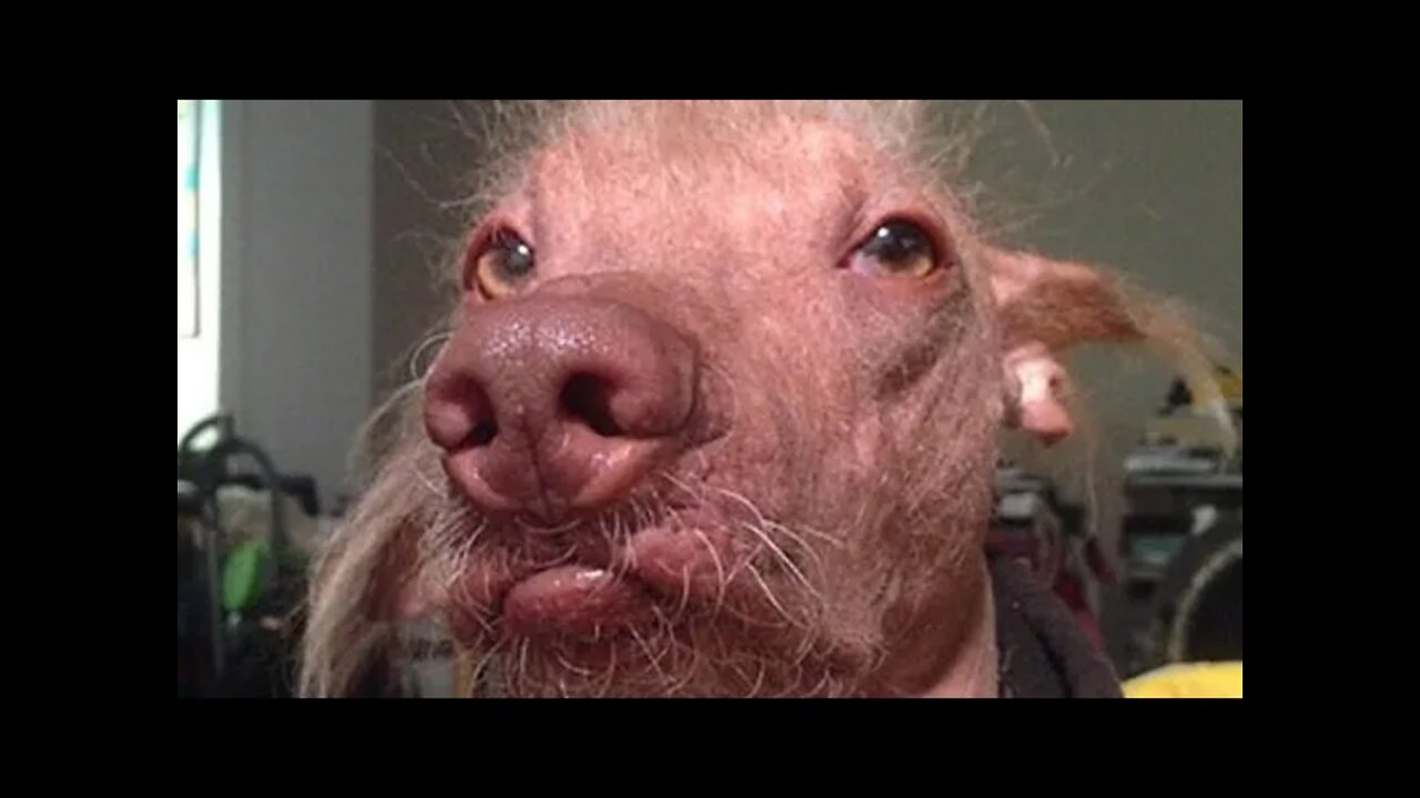 Somewhere To Hang...