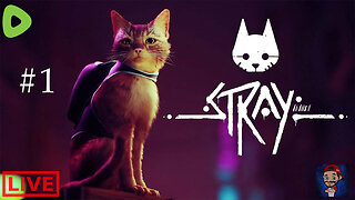 LIVE - Stray - Part 1