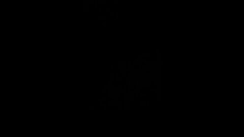 Vivafrei channel
