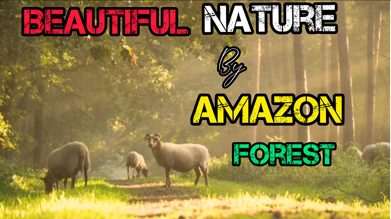 Beautiful nature by Amazon forest | Viral video