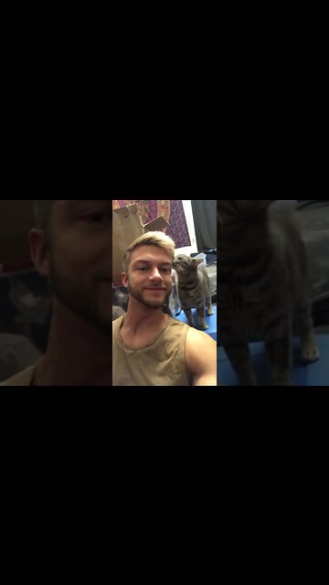 Cats are some of the cutest things on earth