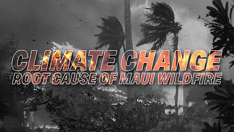 POLITICIANS POINT FINGER AT CLIMATE CHANGE AS ROOT CAUSE OF MAUI WILDFIRE
