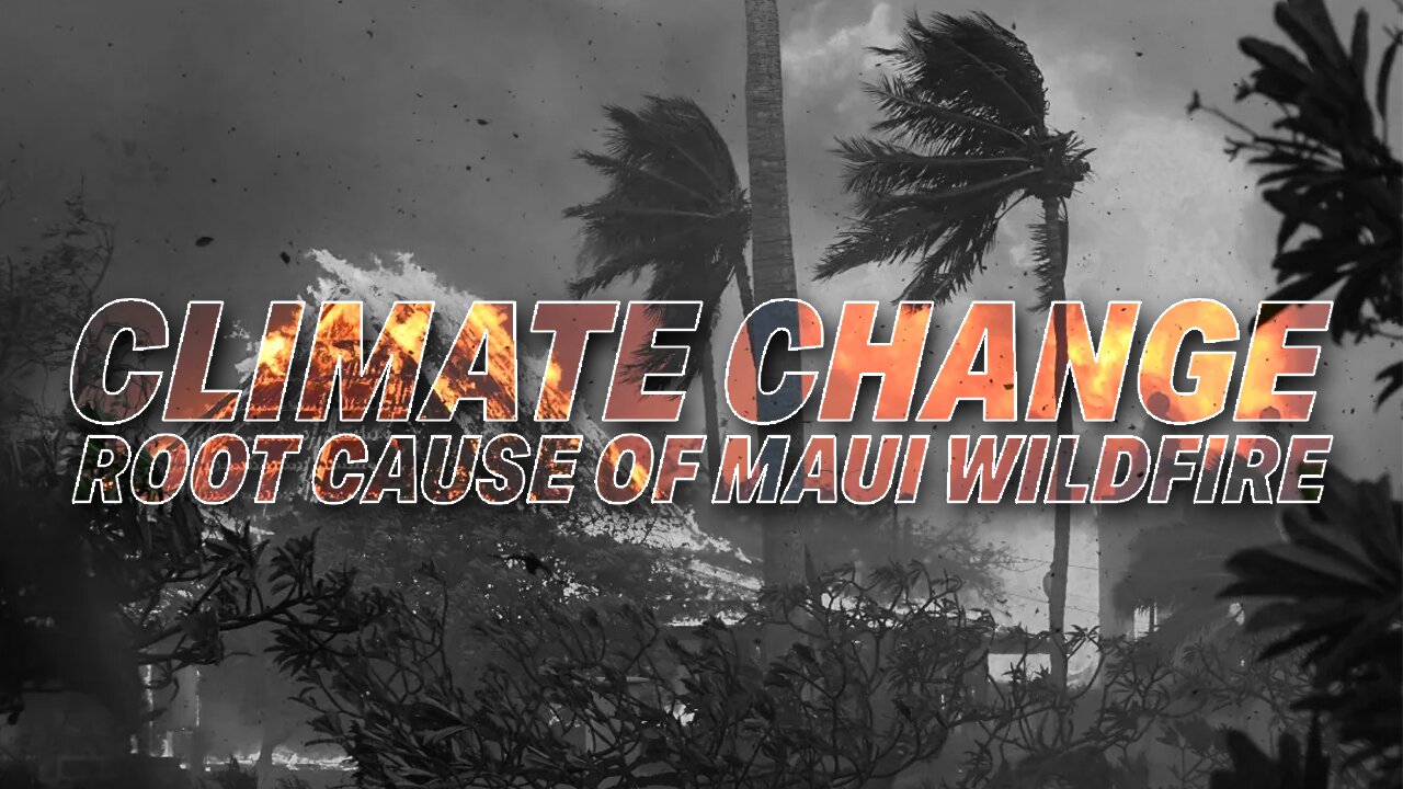 POLITICIANS POINT FINGER AT CLIMATE CHANGE AS ROOT CAUSE OF MAUI WILDFIRE