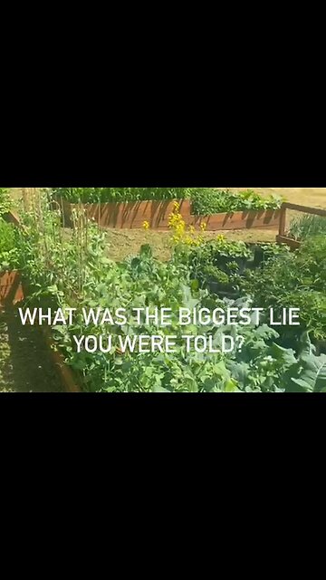 What Is The Biggest Lie? - It's Not That Simple - HaloRockConspiracy