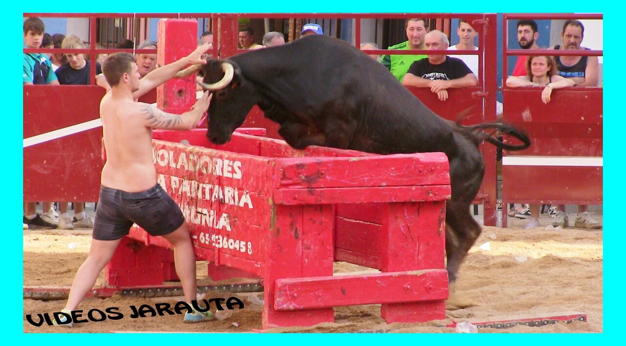 ALPARTIR ( ZARAGOZA ) TARDE VACAS PLAZA ( SABADO 18 JUNIO 2022 ) HNOS.FERRER