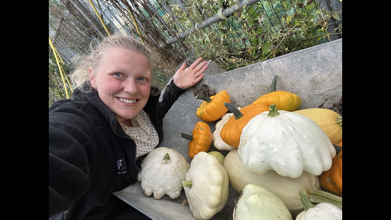 Why you should get an Allotment Garden