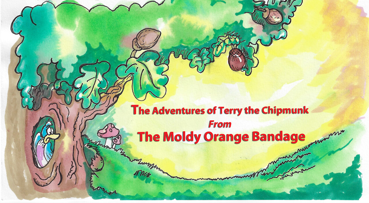 Terry the Chipmunk from The Moldy Orange Bandage