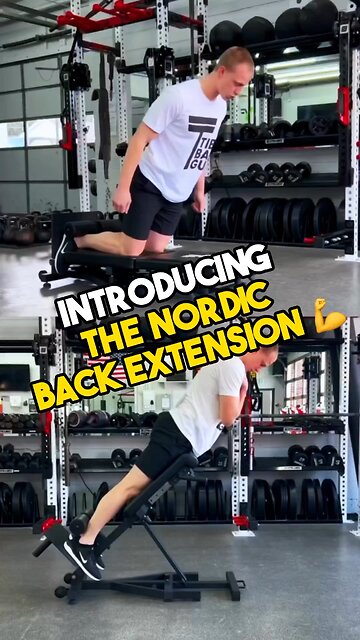 Nordic Bench & Back Extension Machine Preview (Tib Bar Guy)