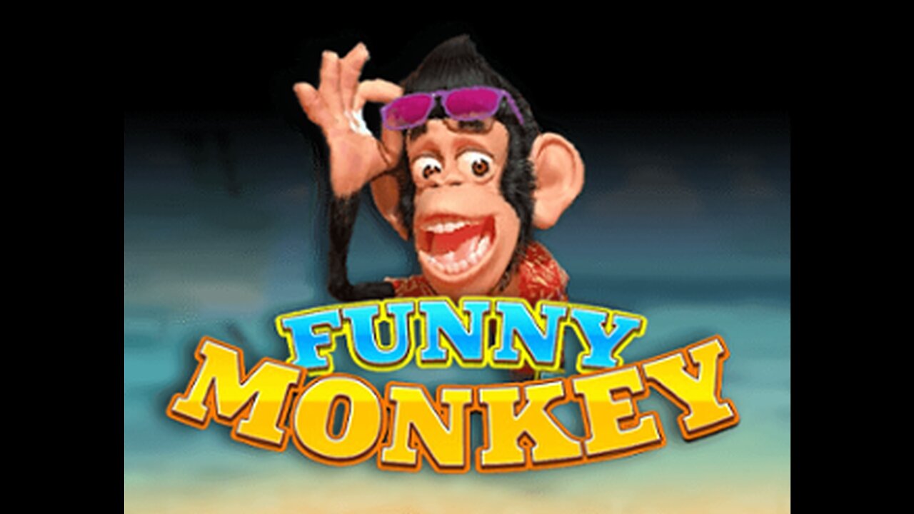 Funny monkey video