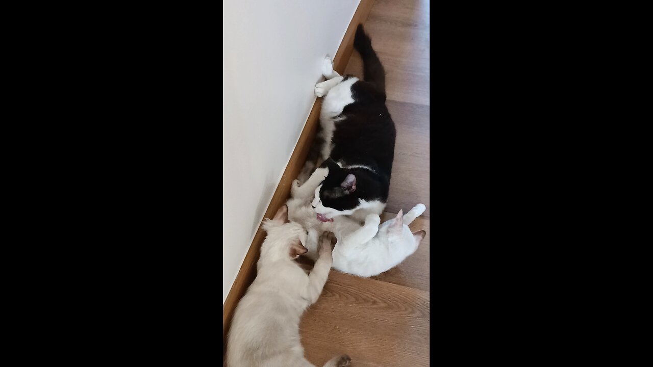 Meu SPA matinal