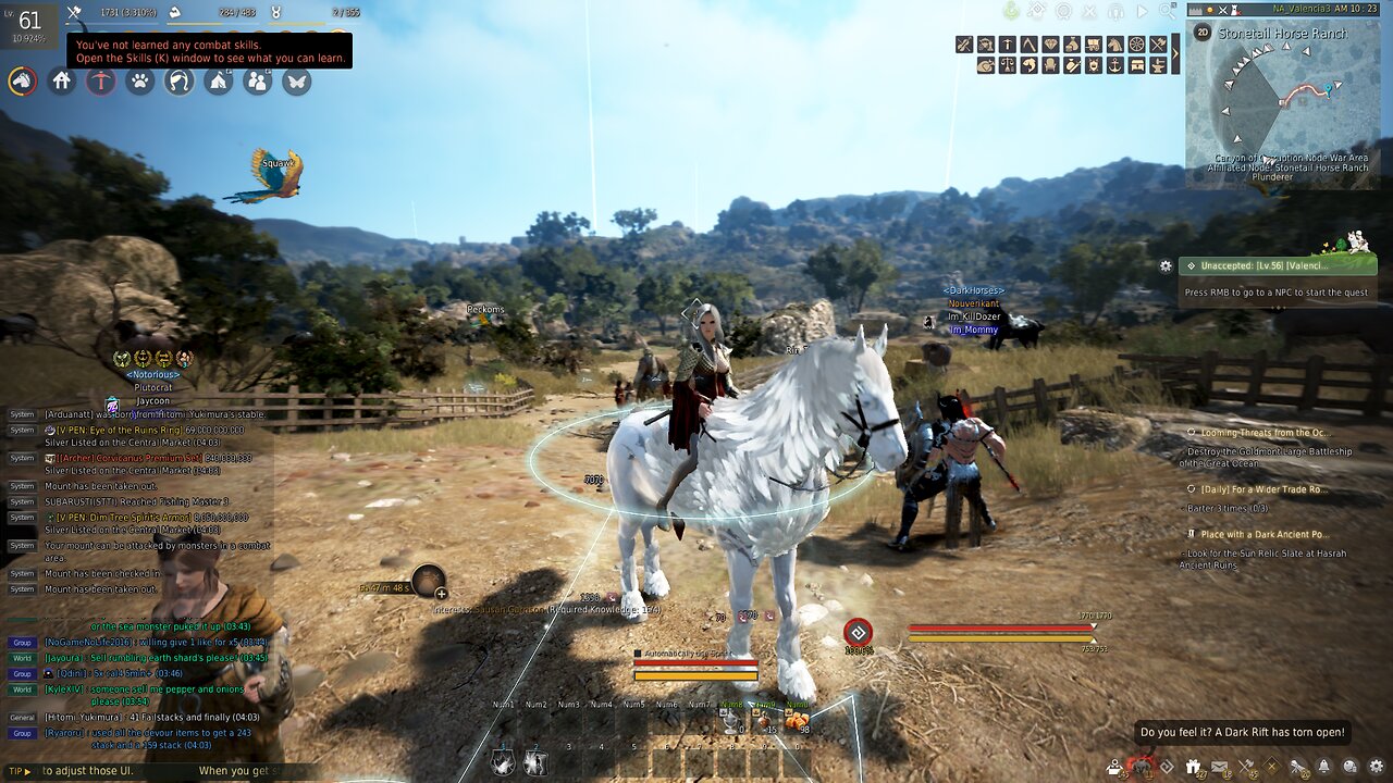 My first pegasus horse in BDO. 41 failstacks