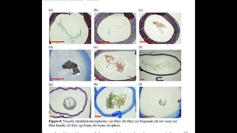 MICROPLASTICS ARE EVERYWHERE, EVEN MOST REMOTE PLACES ON EARTH & YOUR FOOD, AIR & WATER