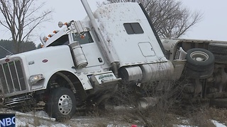 Semi-Truck Cattle Accident