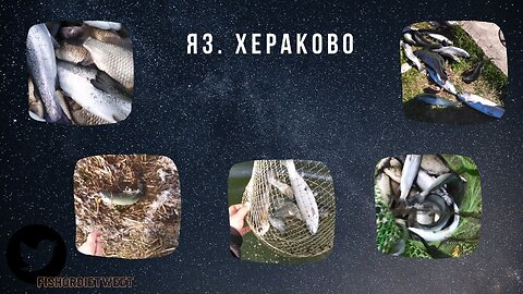 Хераково Пъстърви края на сезона - Herakovo Trout the end of the season