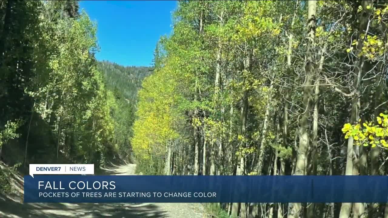 Fall colors: Leaves are starting to change in Colorado