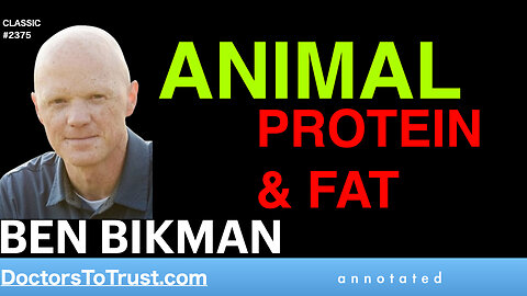 BEN BIKMAN | ANIMAL PROTEIN & FAT