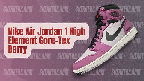 Nike Air Jordan 1 High Element Gore-Tex Berry - DB2889-500 - @SneakersADM