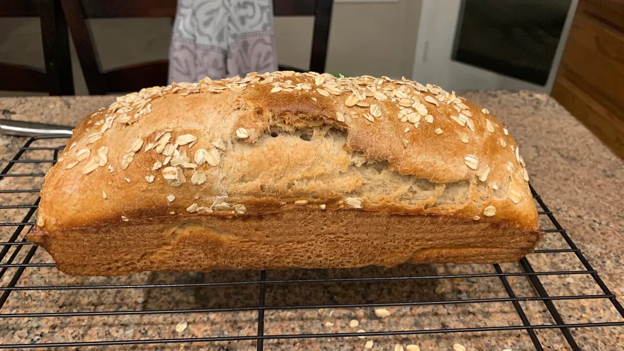 Our Homestead journey