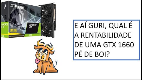 [MINERAÇÃO] QUAL É A RENTABILIDADE DE UMA PLACA GTX 1660 - PÉ DE BOI ? Vale a pena?