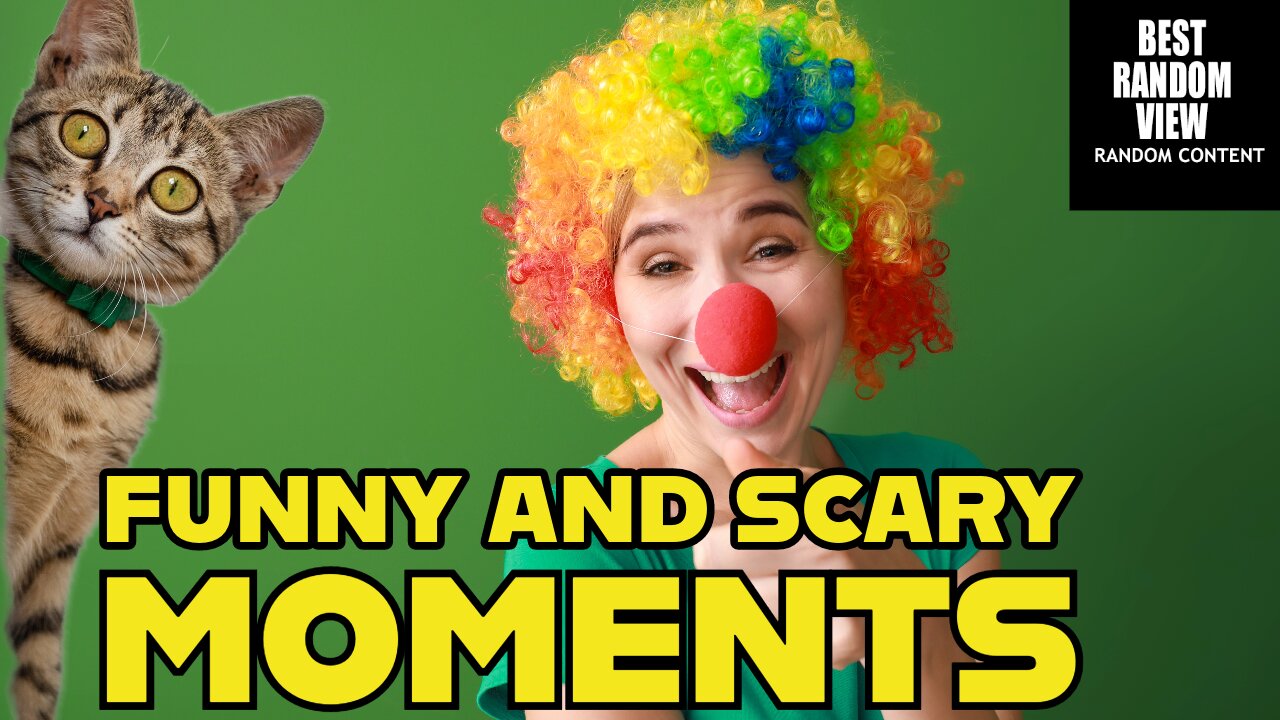 Funny and Scary Moments