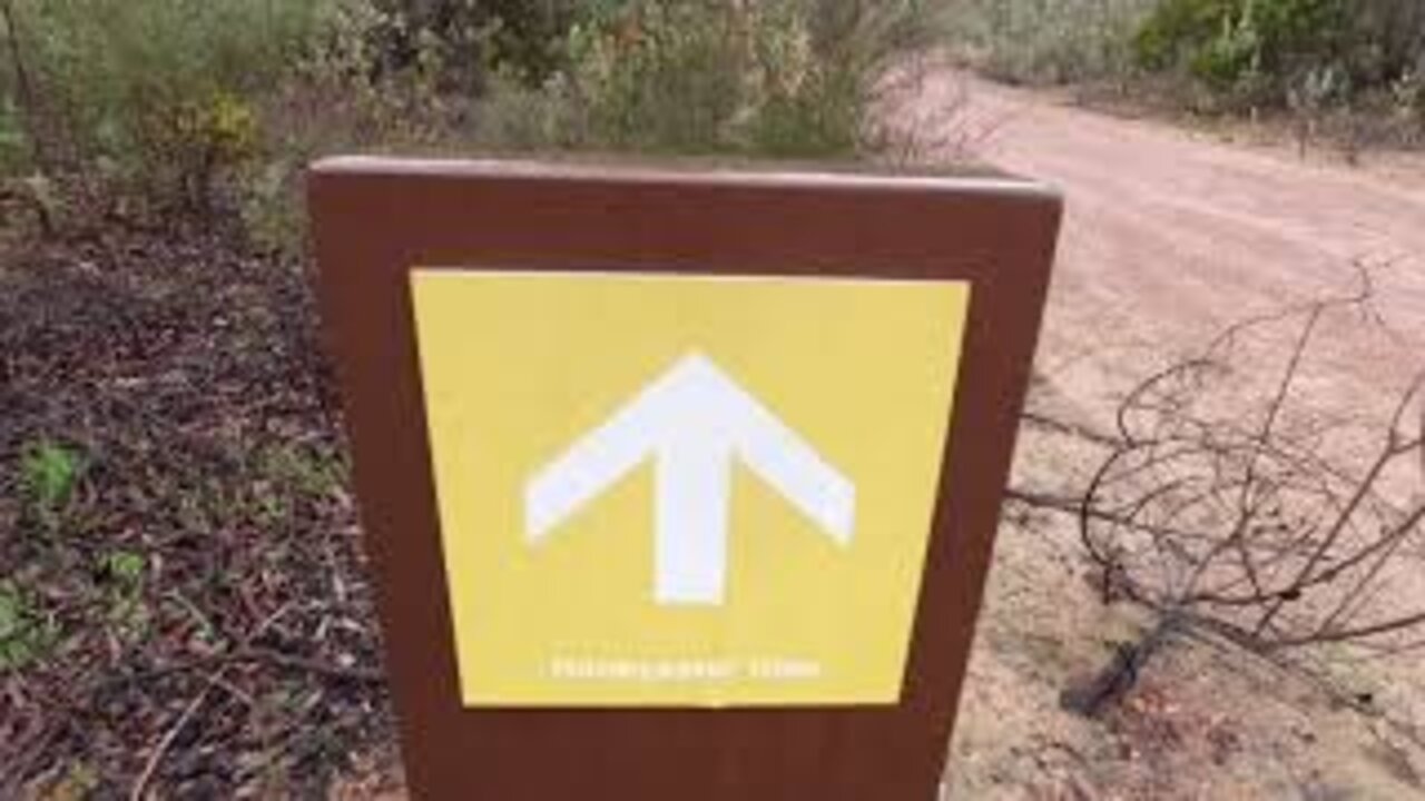 Honeyeater Hike at Bungendore Park in Western Australia.